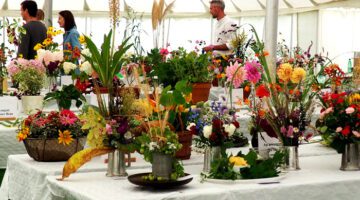 Steep-Flower-Show-2022-06