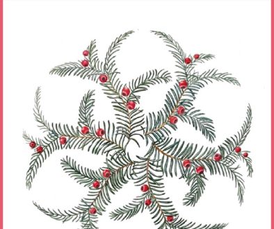 Steep Village Newsletter Dec 22-Jan 23